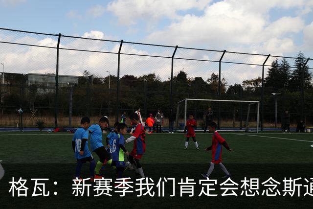 格瓦：新赛季我们肯定会想念斯通斯和B席；马雷斯卡水平很高
