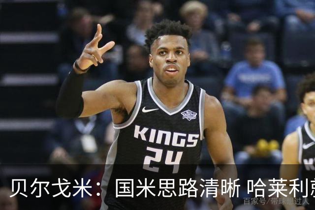 贝尔戈米：国米思路清晰 哈莱利就像阿什拉夫 防线引援选卢库米